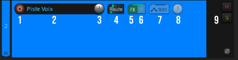 Visuel d'une piste Reaper et ses différentes options
