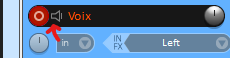 Icone Monitoring sur une piste sur Reaper